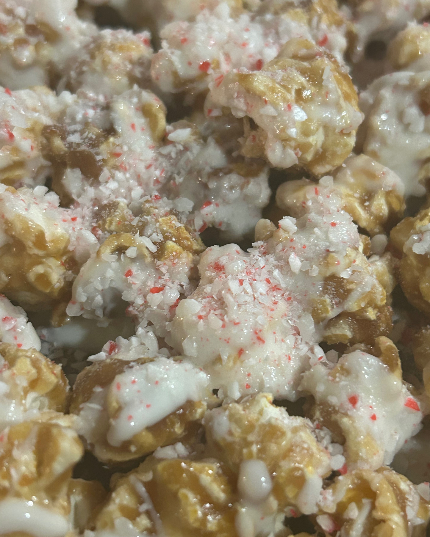 1--LIMITED EDITION BUNDLE